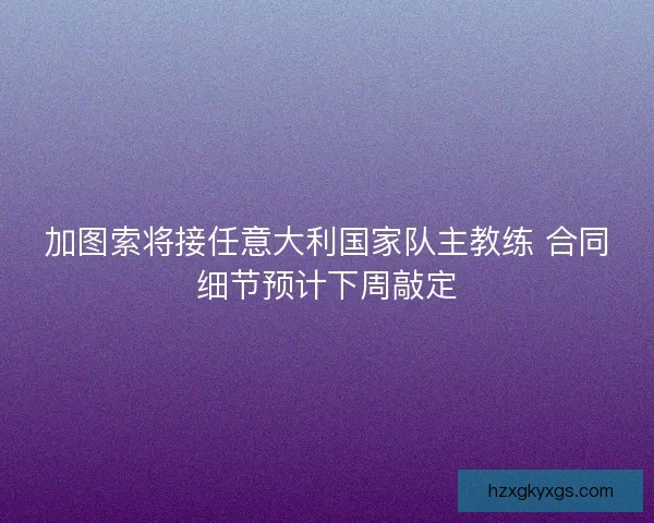 加图索将接任意大利国家队主教练 合同细节预计下周敲定